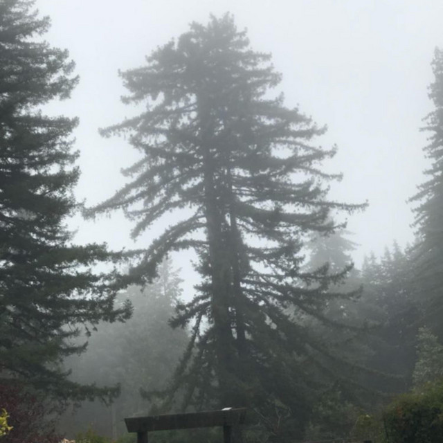 When It Rains cover art