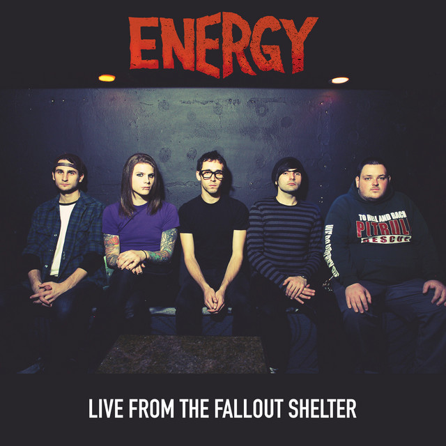 Live From The Fallout Shelter cover