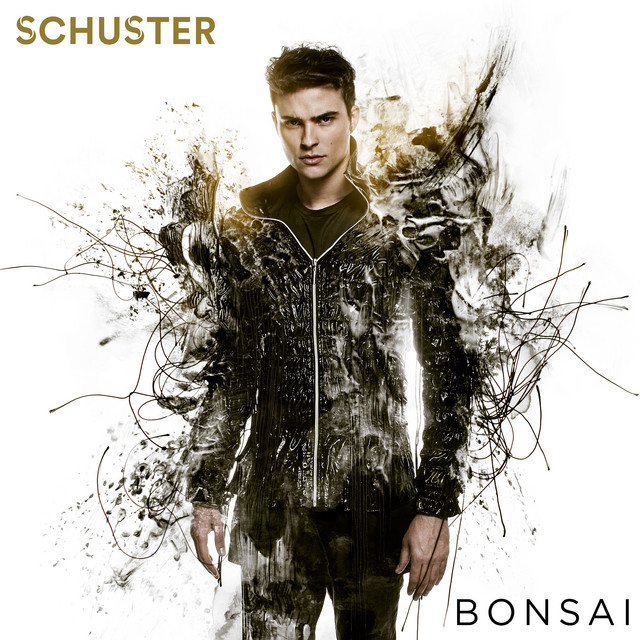 Bonsai cover art