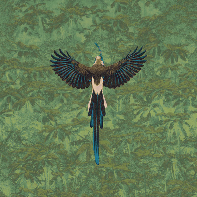 Urraca cover art