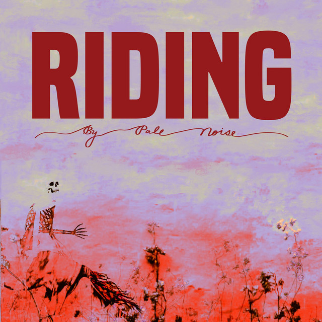 Riding cover