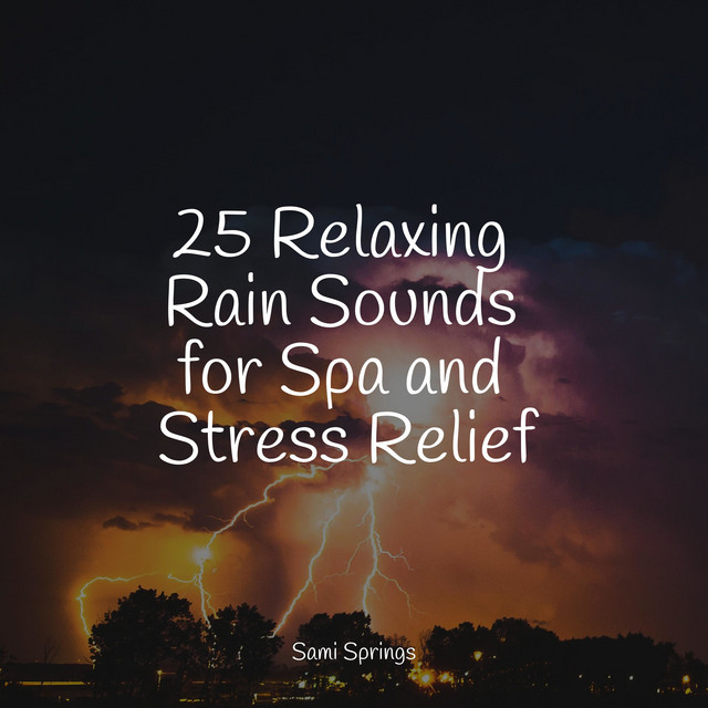 25 Relaxing Rain Sounds for Spa and Stress Relief - Album by Wellness ...