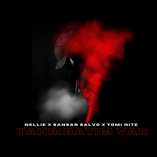 Tahribatım Var cover art