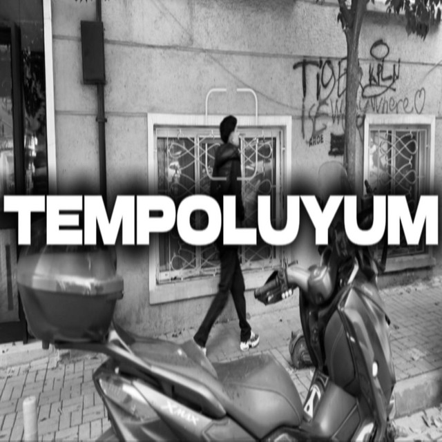 TEMPOLUYUM cover art