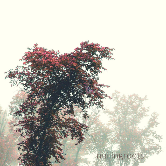 Self Titled cover art