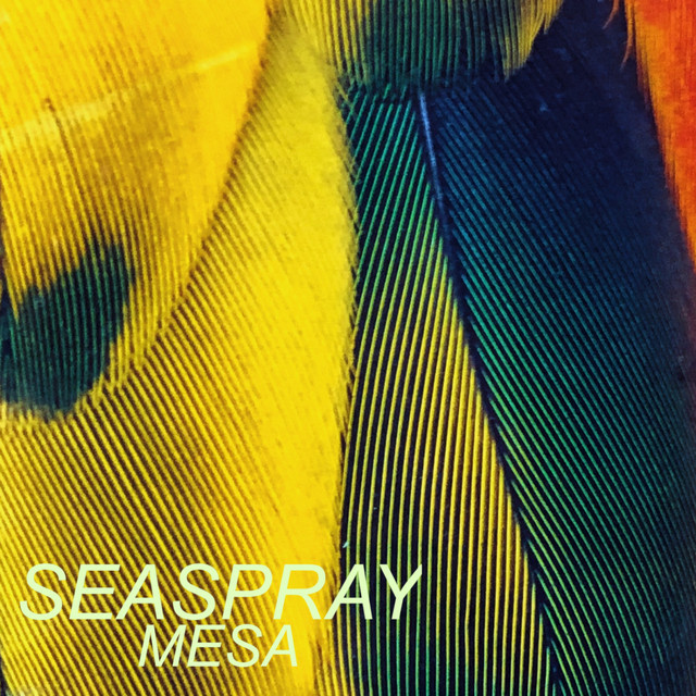 Mesa cover