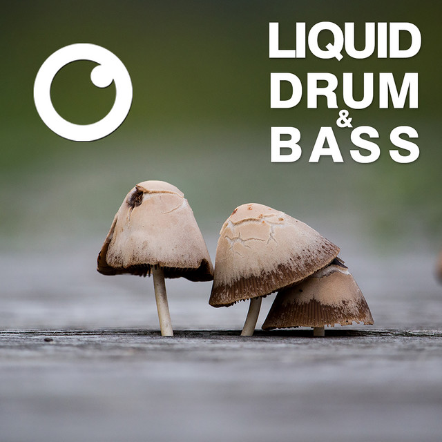 Liquid Drum & Bass Sessions 2020 Vol 20 - The Mix artwork