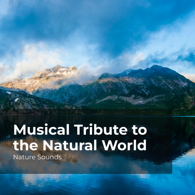 Musical Tribute to the Natural World - Album by Nature Sounds | Spotify
