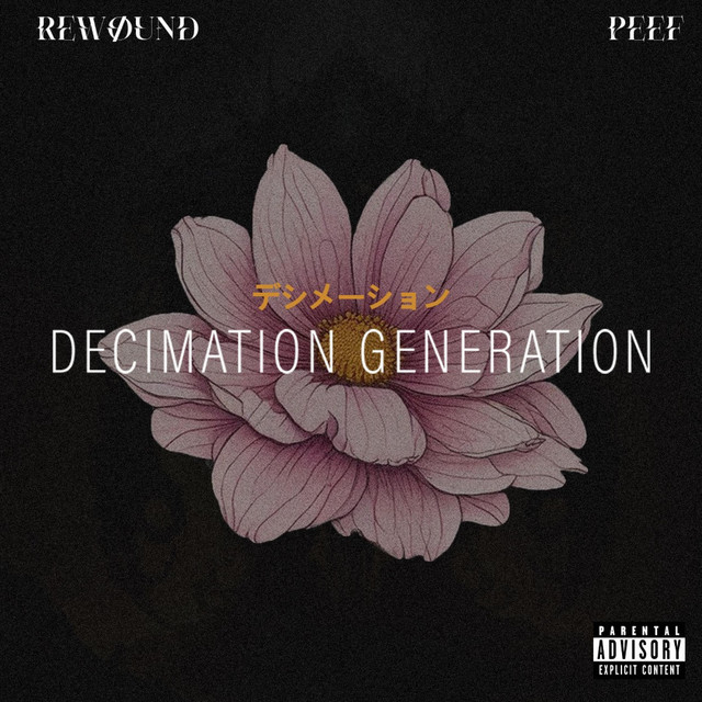 DECIMATION GENERATION (Sebastian Komor Remix) cover art