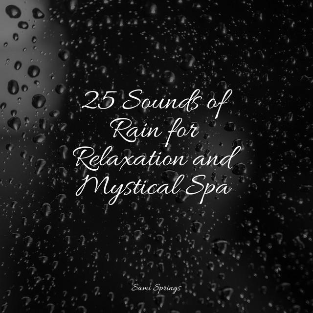 25 Loopable Rain Sounds for Sleep and Serenity - Album by Kinderlieder ...