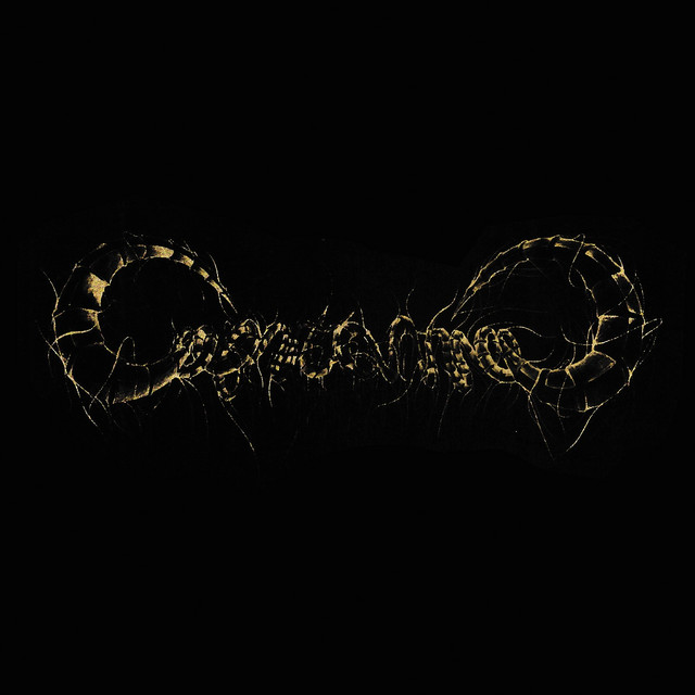 Capricorns - Single cover