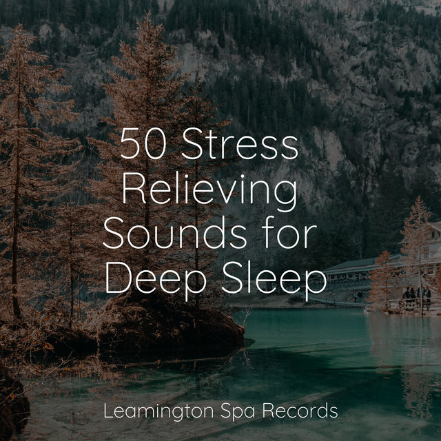 50 Stress Relieving Sounds for Deep Sleep - Album by Sleepy Times | Spotify