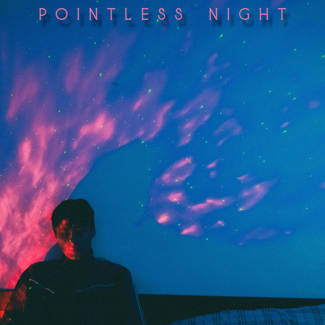 Pointless Night cover art
