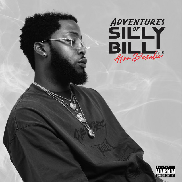 Adventures of Sillybilly (Vol 2) cover art