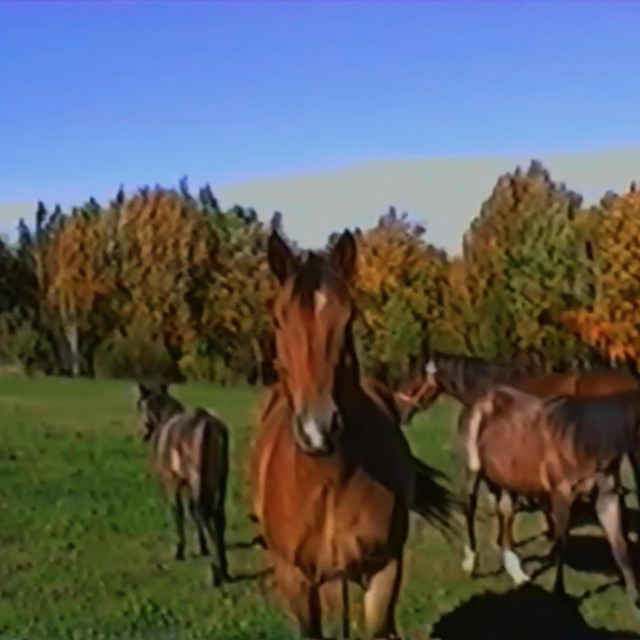 Colorado Girl cover