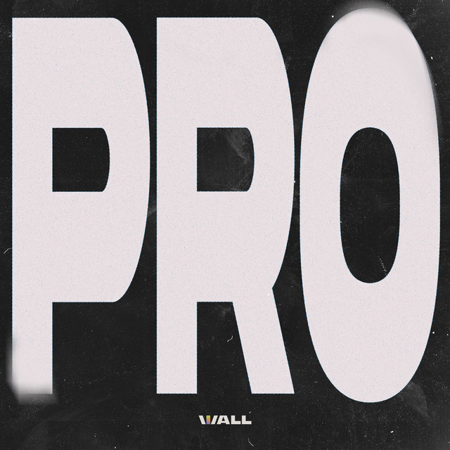PRO cover art