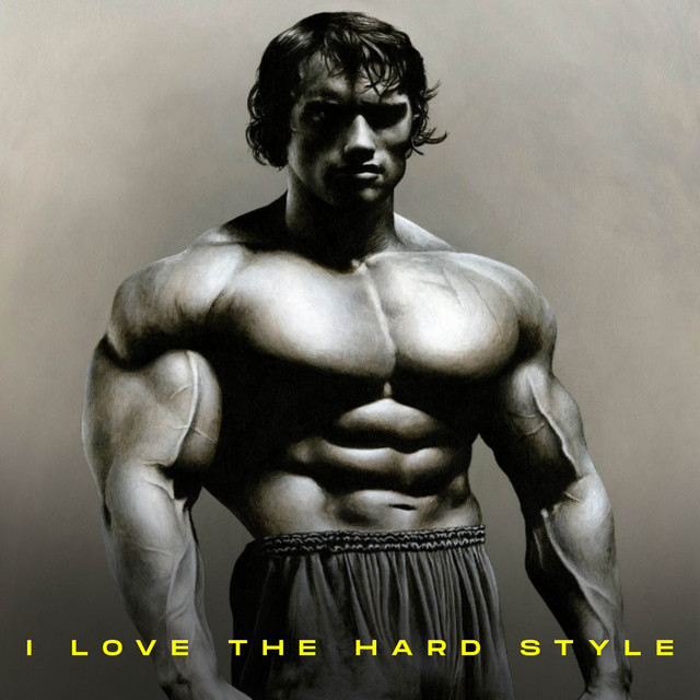 I Love The Hard Style cover art