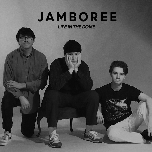 Life in the Dome cover