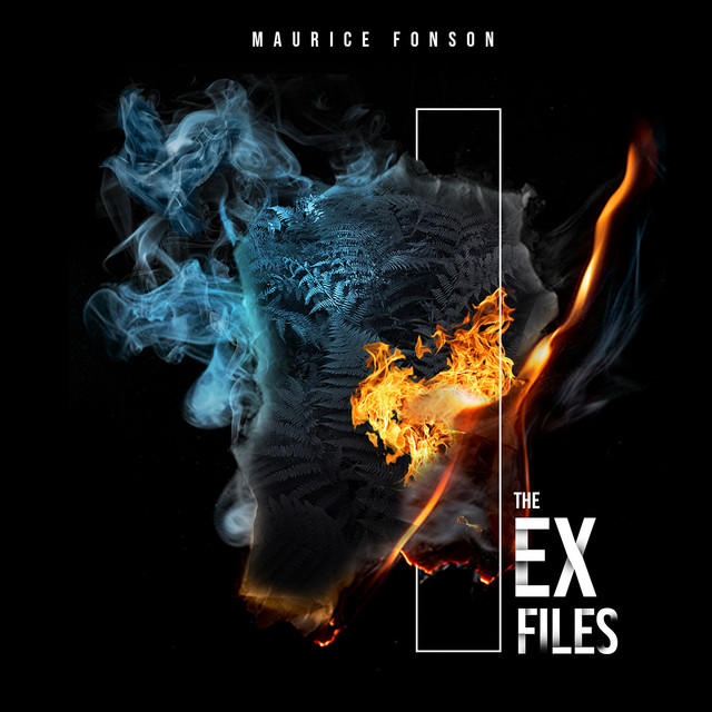 The Ex Files cover art