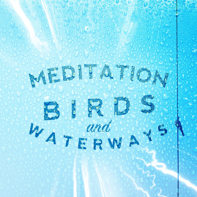 Meditation: Birds and Waterways cover art
