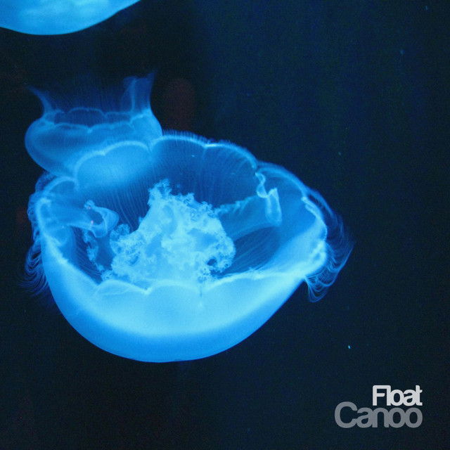Float cover
