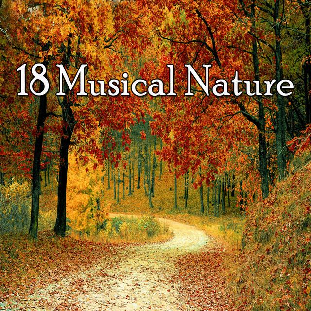 18 Musical Nature - Album by Sounds of Nature White Noise for ...