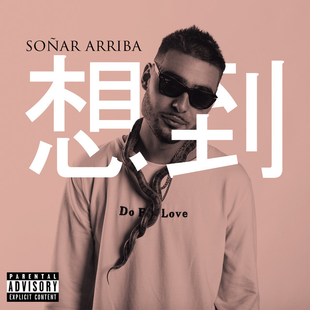 Soñar Arriba cover art