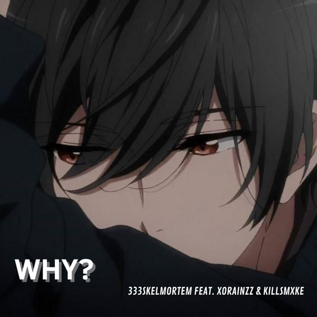 Why? cover art