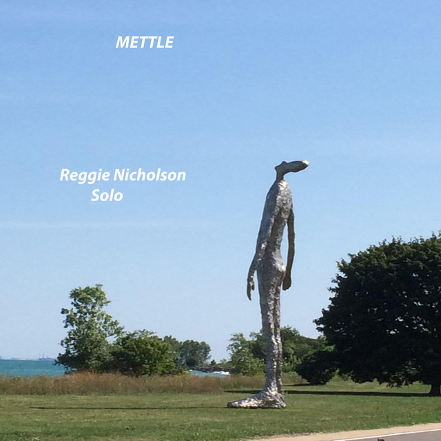 Mettle cover art