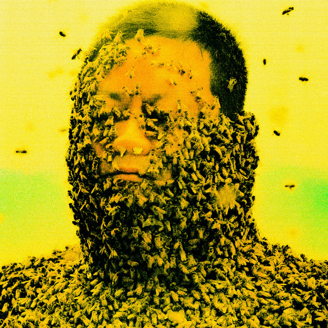 Pollination cover art