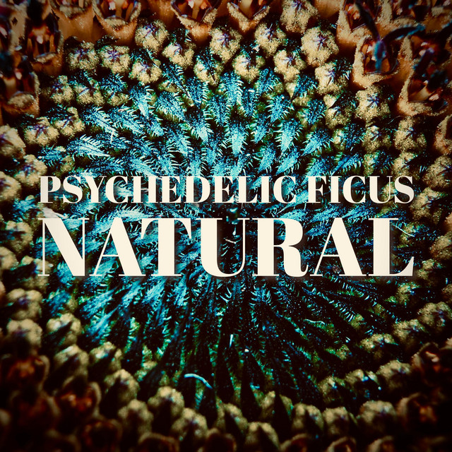 NATURAL cover art