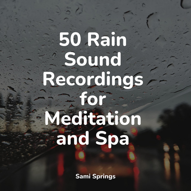50 Rain Sound Recordings for Meditation and Spa - Album by Sleep ...
