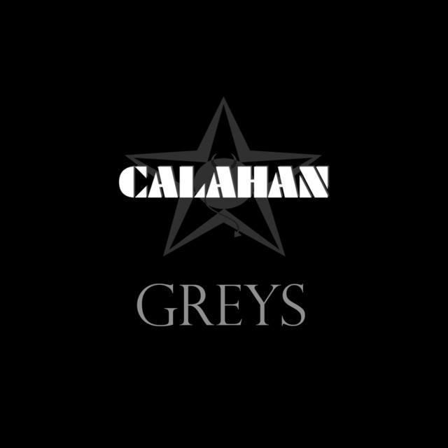 Greys (As Heard on TV) cover art