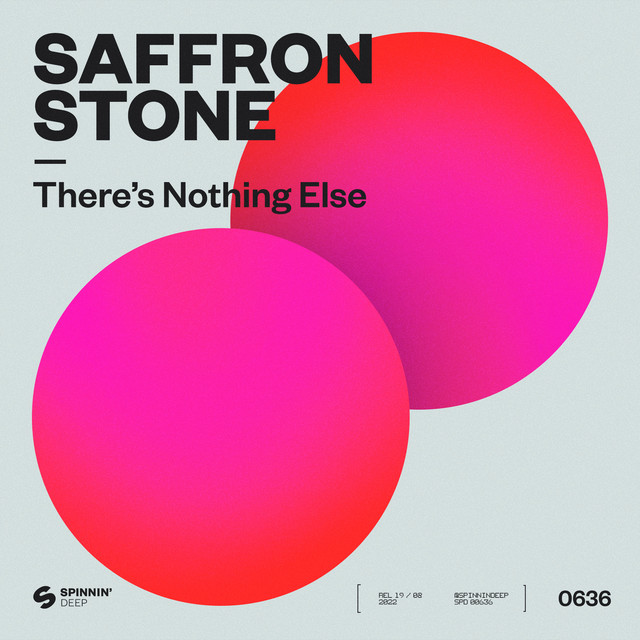 There's Nothing Else - Extended Mix album art