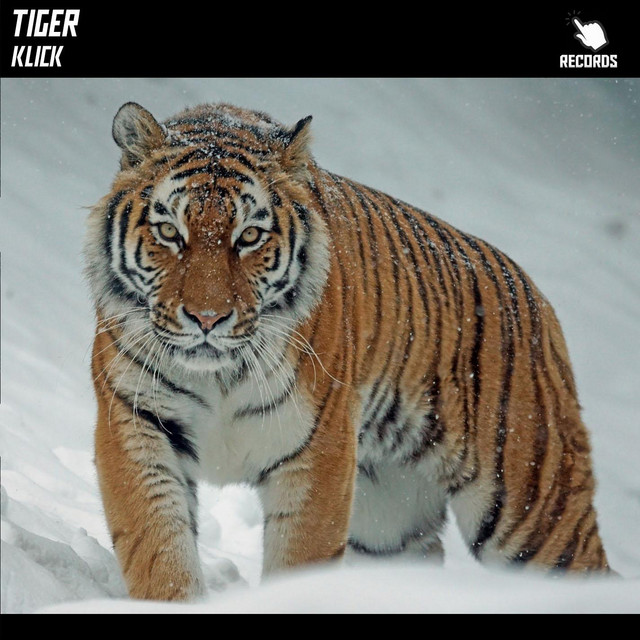 Tiger - Single by KL1CK | Spotify