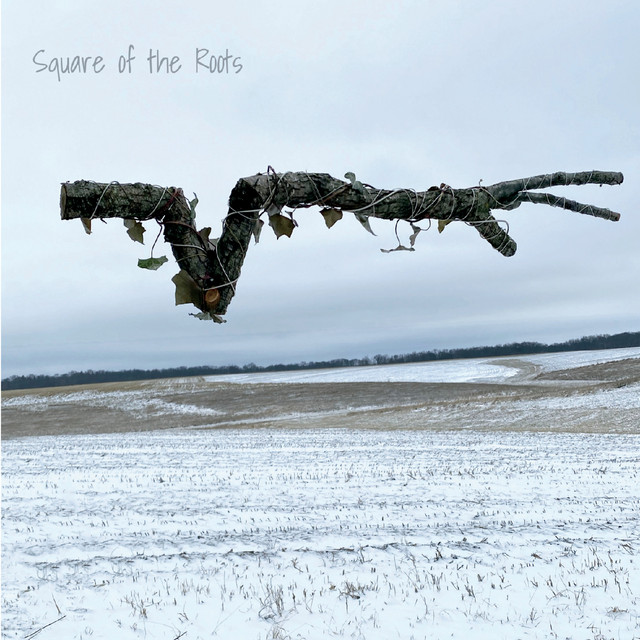 Unincorporated - Album by Square of the Roots | Spotify