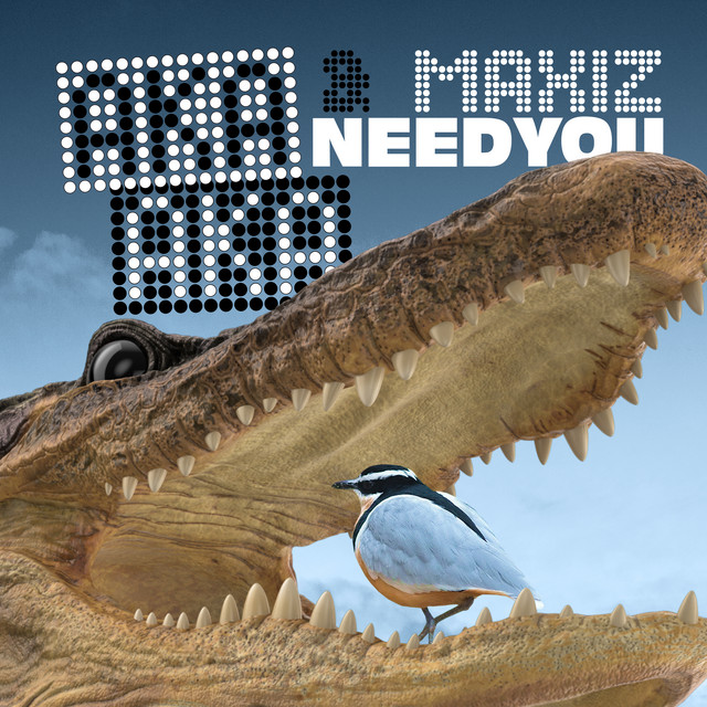 Need You cover