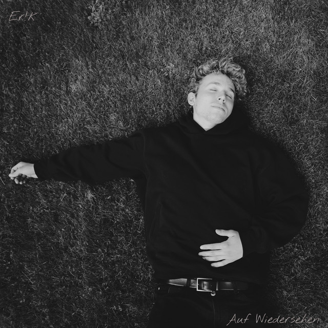 Auf Wiedersehen cover art