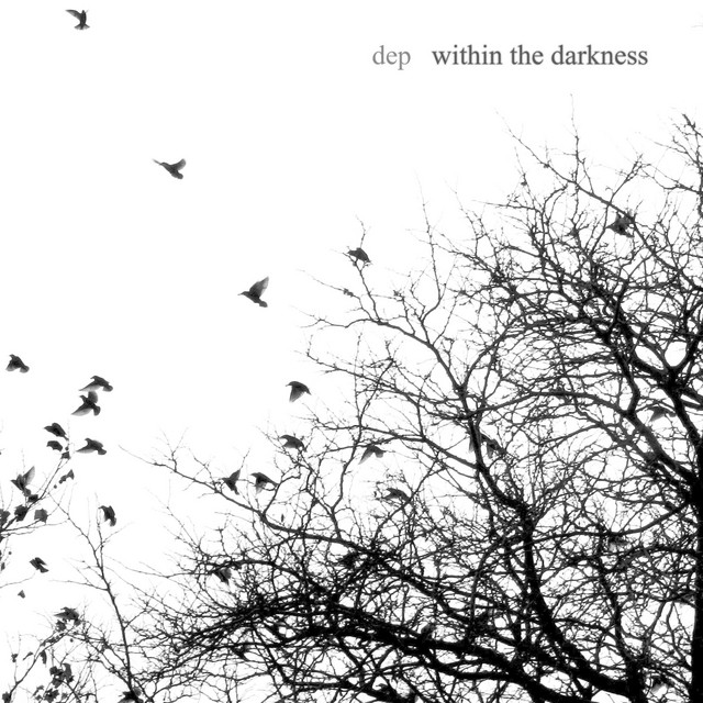 Within the Darkness cover art