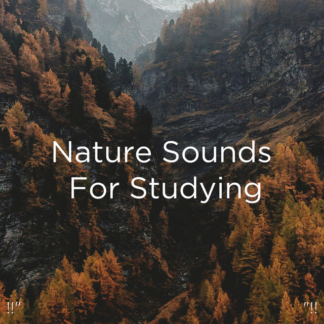 Nature Sounds For Studying "!! - Album by Nature Sounds Nature Music ...