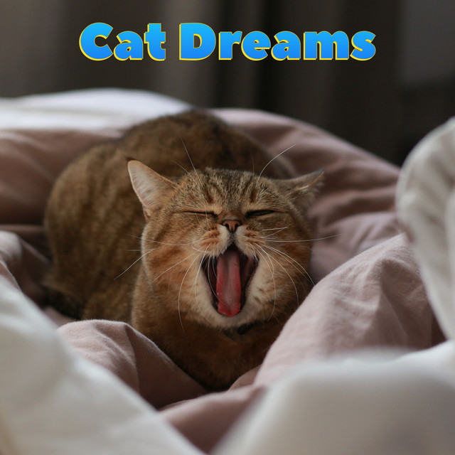 Cat Dreams cover art