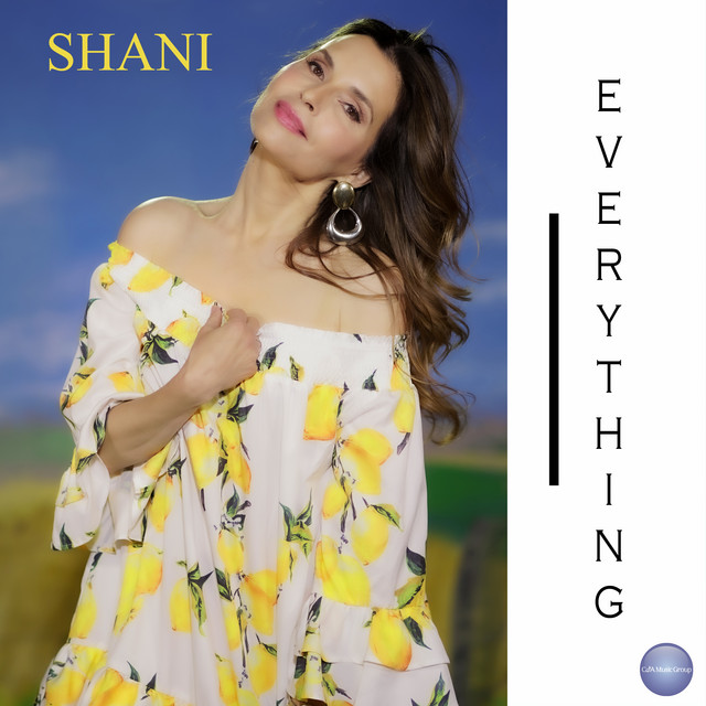 Everything - Single by Shani | Spotify
