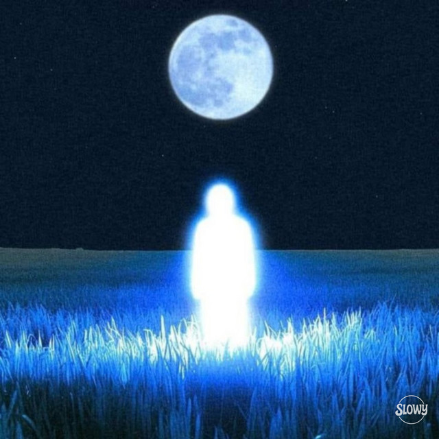 AESTETICA LUNAR