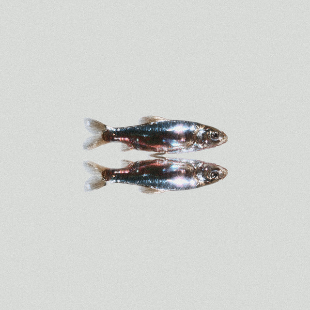 SMHQEB cover art