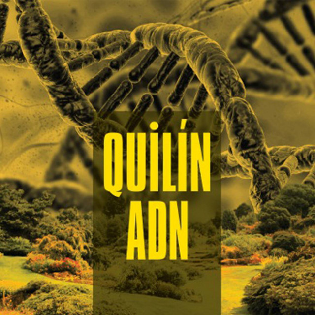 Quilín ADN cover art