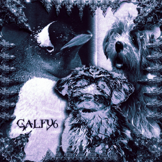 GALFY6