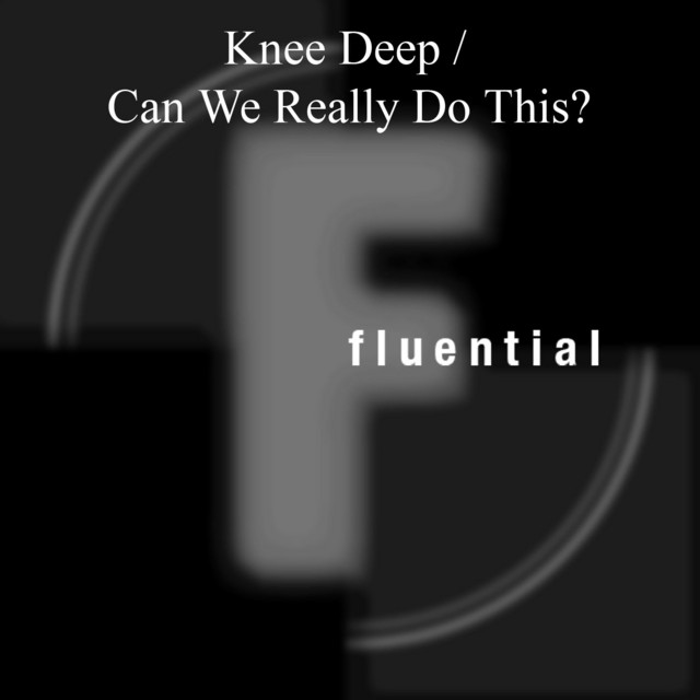 Can We Really do This? cover art