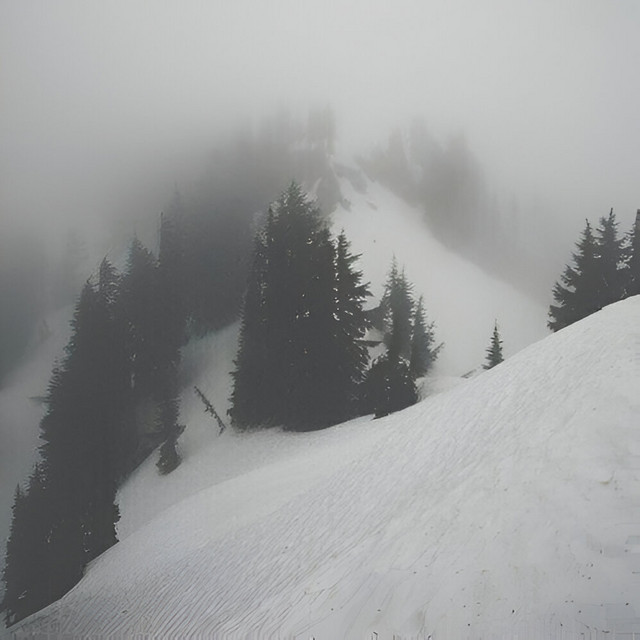 Everest cover art
