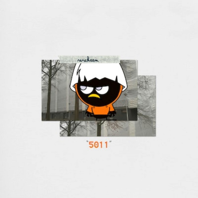 5011 cover