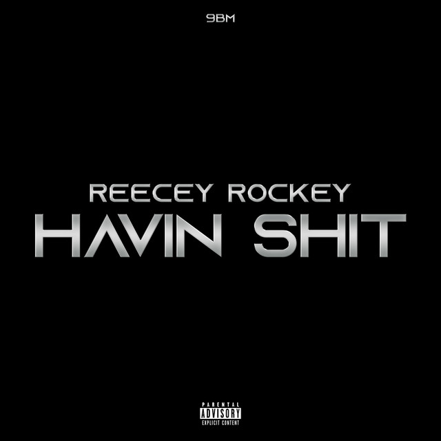 Havin Shit